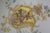 White Antique a Klingenberg & Dwenger French Limoges Porcelain Floral Scalloped Plate For Sale - Image 8 of 13