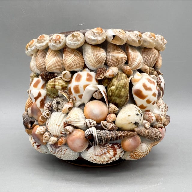 Anthony Redmile Vintage Hawaiian Seashell-Encrusted Terracotta Cachepot Planter For Sale - Image 4 of 10