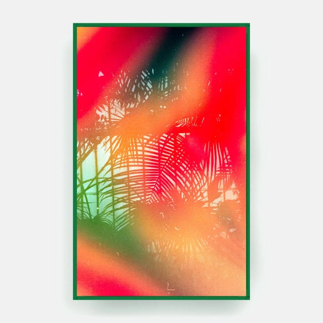 Contemporary No Filter by Annie Spratt Contemporary Photograph in Green Acrylic Frame, Small For Sale - Image 3 of 3