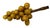 Exquisite 1940s Italian Alabaster Grapes - Set of 5 Hand-Carved Honey Gold Clusters For Sale - Image 16 of 16