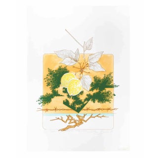 Leo Guida, Still Life, Screen Print, 1976 For Sale