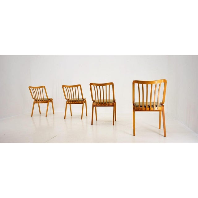 Dining Chairs attributed to Antonín Šuman, 1960s, Set of 4 For Sale - Image 11 of 18