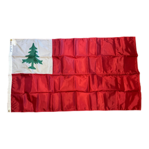 Late 20th Century Continental Flag