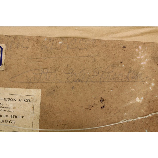 Cynthia McCRACKEN Signed Oil Painting on Board For Sale - Image 11 of 12