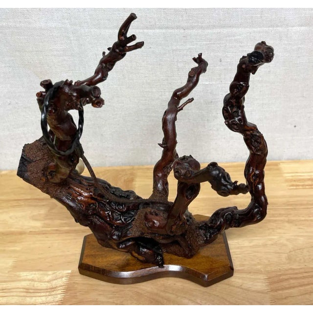 1960s French Modern Natural Grapevine ‚ÄòCoral‚Äô Wine Caddy For Sale - Image 4 of 13