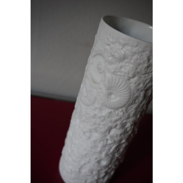Vintage German Vases with Fossil Design in Biscuit Porcelain from AK Kaiser, 1960s, Set of 5 For Sale - Image 18 of 18