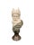 Early 20th Century Italian Carved Bust of a Man For Sale - Image 4 of 7