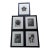 1970s Karl Blossfeldt Botanical Framed Print Collection - Set of 5 For Sale