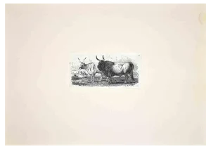 After Charles Coleman, The Bulls in the Roman Countryside, Etching, 1992