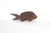 Very cool and rustic, hand carved fish sculpture with a hole on the back so you can easily hang it on your wall. Very good...