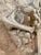 Victorian Late 19th Century Victorian English Architectural Corner Frieze Fragment/Molded Ornamental Building Brick For Sale - Image 3 of 11