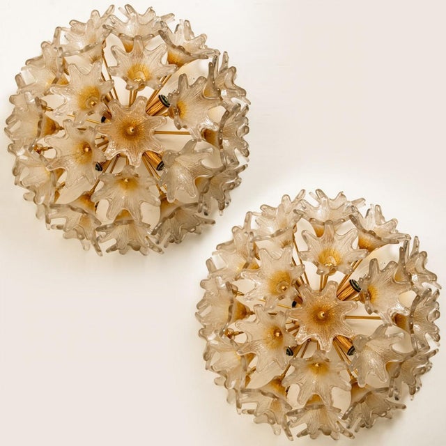 Brass & Gold Murano Glass Sputnik Wall Light in Venini Style, Italy, 1970s For Sale - Image 10 of 17