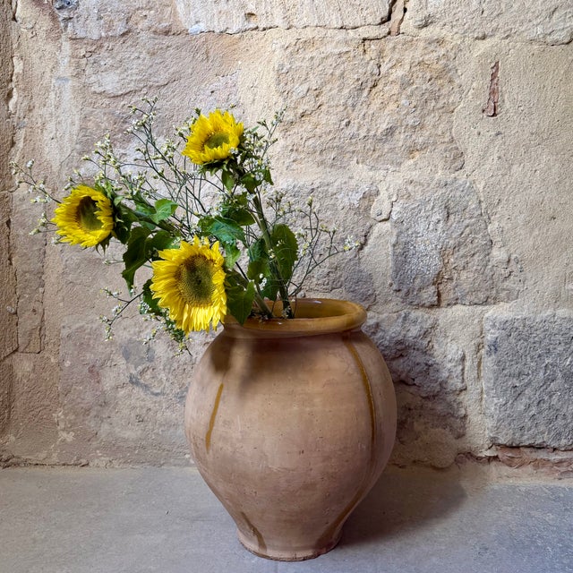Beige Terracotta Jar from Biot, 1890s For Sale - Image 8 of 9