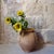 Beige Terracotta Jar from Biot, 1890s For Sale - Image 8 of 9
