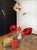 Vintage Italian Murano Chandelier with 36 Multicolored Disks, 1990 For Sale - Image 4 of 18
