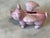 Victorian Cast Iron Flying Pig Childrens Money Box For Sale - Image 4 of 6