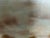 This beautiful antique oil on canvas depicts a peaceful woodland landscape bathed in soft, atmospheric light. A winding...