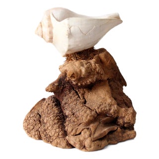 Mid-Century Burl Wood Shell Candle Sculpture For Sale