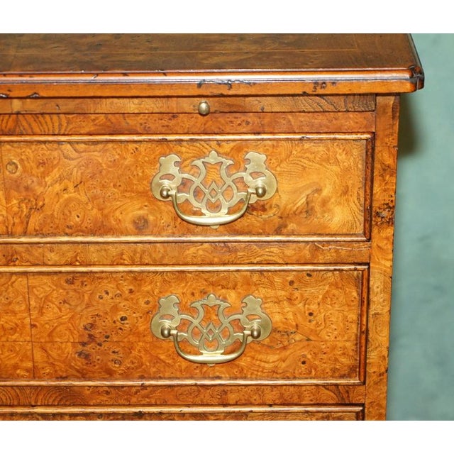 Wood George III Style Burr Elm Chest of Drawers with Brushing Slide For Sale - Image 7 of 18