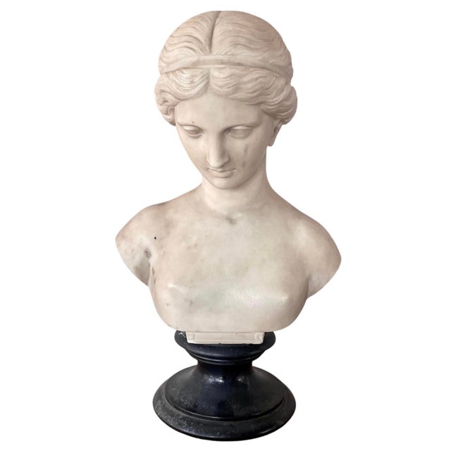 Italian Carved Marble Bust of a Young Woman For Sale - Image 11 of 16