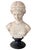 Italian Carved Marble Bust of a Young Woman For Sale - Image 11 of 16