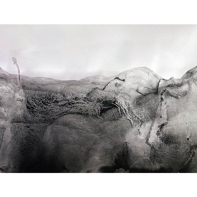 Black Marilina Marchica, Landscape BW, Paper For Sale - Image 8 of 9