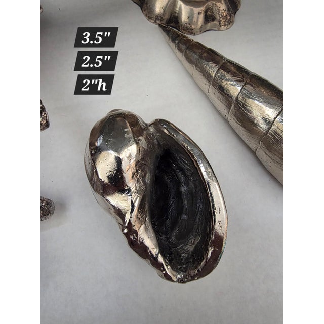 1980s Collection of Silverplated Sea Shells For Sale - Image 5 of 8