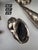 1980s Collection of Silverplated Sea Shells For Sale - Image 5 of 8