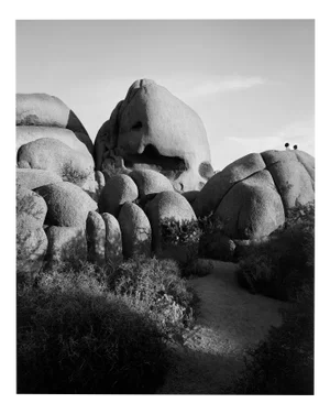 Jumbo Rocks Skull - Analogue Black and White Desert Rocks 2023