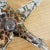 Vintage Iridescent Glass Starfish Paper Weight by John Barber For Sale In Los Angeles - Image 6 of 9