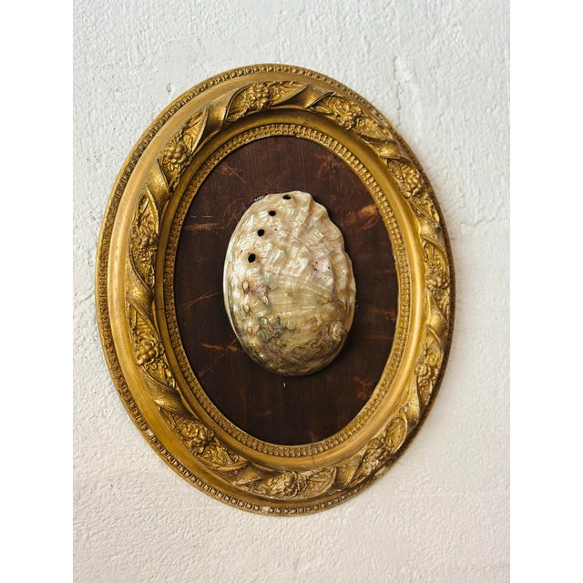 1930s Antique Shell Art For Sale - Image 5 of 7