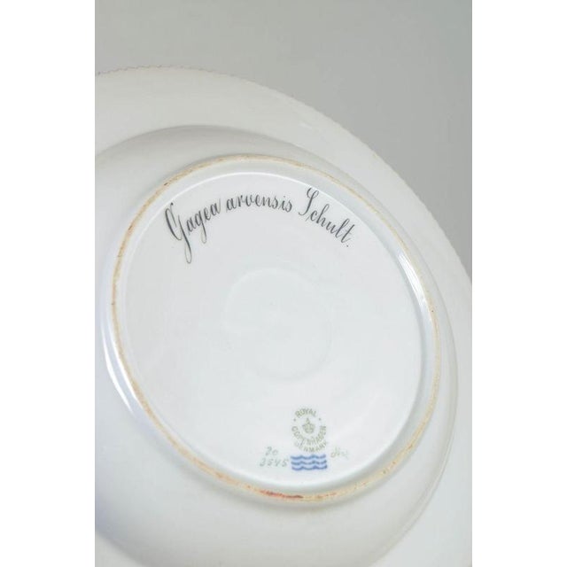 1940s Porcelain Flora Danica Dinner Plate from Royal Copenhagen, 1945 For Sale - Image 5 of 6