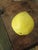 1960s Mid 20th Century Italian Alabaster Stone Fruit - Pear & Lemon For Sale - Image 5 of 8