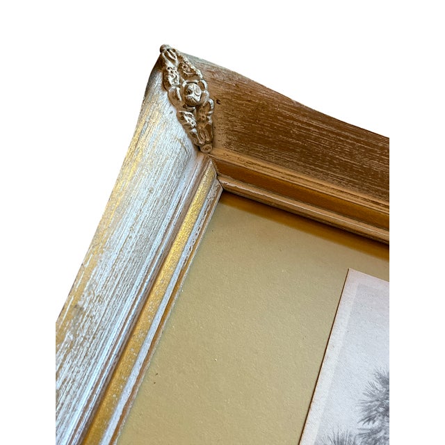 Wood Pair of 1940s Old Florida Black & White Photographs in White Washed Pickled Gilt Frames and Ochre Mat – Palms & Oak-Canopied River For Sale - Image 7 of 11
