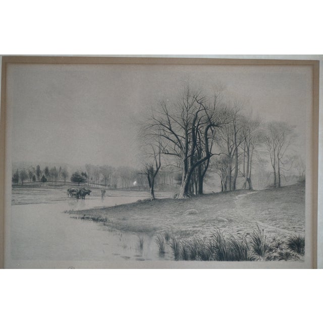 Antique William De La Montagne Cary Signed Cows Riverscape Etching 26" For Sale - Image 4 of 10