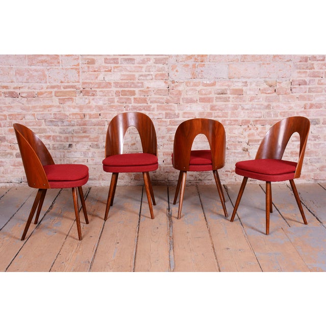 Mid-Century Walnut Chairs from Antonín Šuman, Czech, 1950s, Set of 4 For Sale - Image 6 of 18
