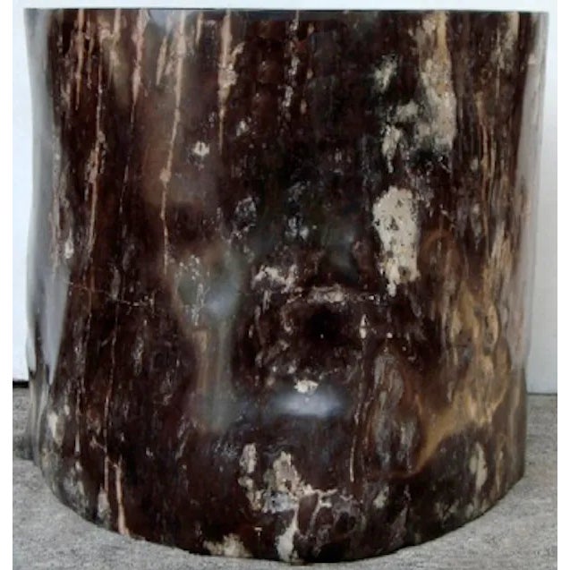 Organic Petrified Wood Stump #525 (Mahogany) - Supelllex For Sale - Image 4 of 4