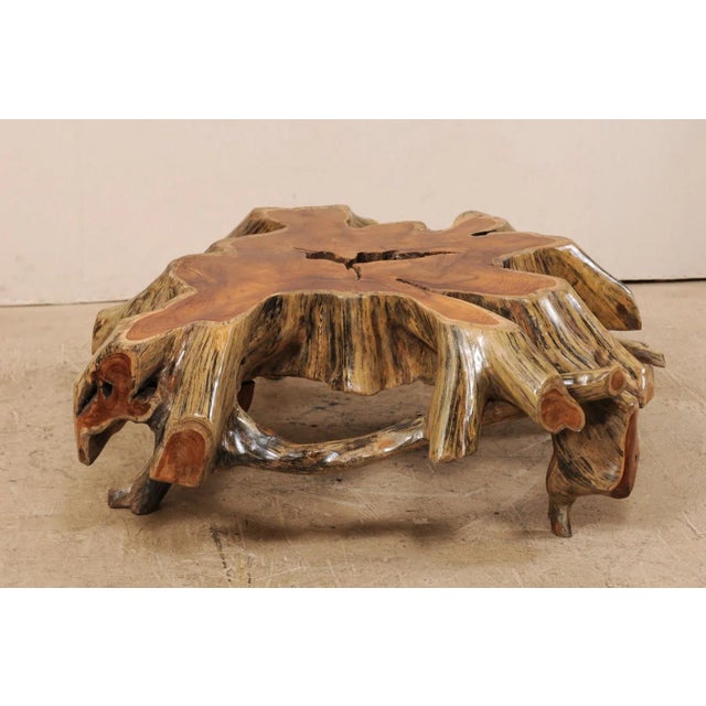 Contemporary Mid 19th Century Organic Modern Tree Root Coffee Table For Sale - Image 3 of 12