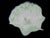 Large Seaform Blue Green Ruffled Pilchuck Studio Hand Blown Art Glass Bowl For Sale - Image 4 of 13