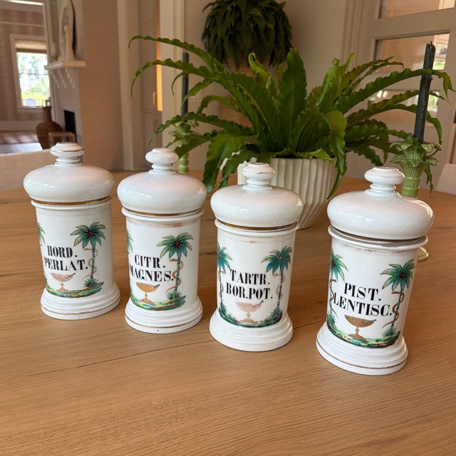 Set of 4 Antique Porcelain Apothecary Jars With Hand Painted Palm Tree and Serpent Decoration For Sale - Image 12 of 12