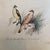 French French Antique 18th Century “L’Emerillon” Bird Engraving Hand Colored Artwork For Sale - Image 3 of 4