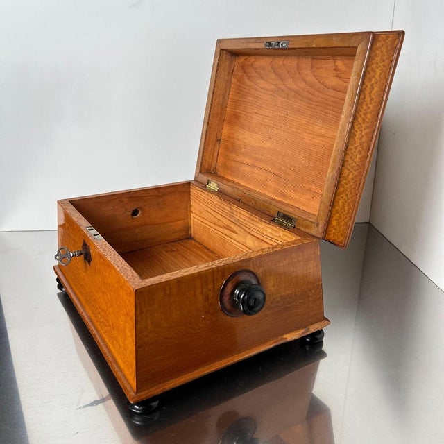 Historicism Box in Floral Ash Veneer and Rosewood, Austria, 1880s For Sale - Image 16 of 18