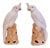 A pair of Chinese export porcelain cockatoos with amazingly life-like faces and beautifully articulated feathers. Each...