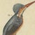 Bertuch, Four Kingfishers on Branches, 1818, Print For Sale - Image 6 of 12