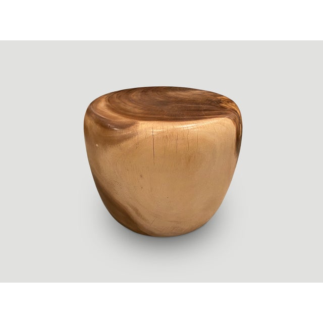 Andrianna Shamaris Drum Shape Suar Wood Coffee Table or Side Table For Sale - Image 4 of 18