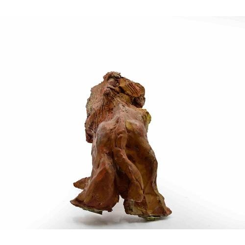 Sirio Pellegrini, Lion, 1960s, Terracotta For Sale - Image 4 of 5