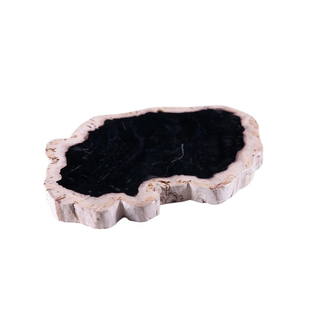 Hand Cut & Polished Petrified Wood Board For Sale - Image 4 of 7