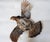 Taxidermy Pheasant Hen Mid-Flight For Sale - Image 4 of 9