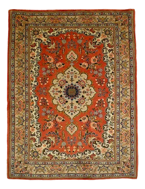 Vintage Bidjar Rug, 1950s