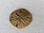 Mid 20th Century Vintage Coastal Brass Sand Dollar Paper Weight / Decorative Object For Sale - Image 5 of 7